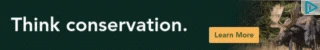Creative Screenshot 3