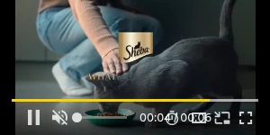 Creative Screenshot 3