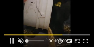 Creative Screenshot 3