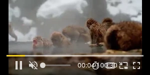 Creative Screenshot 3