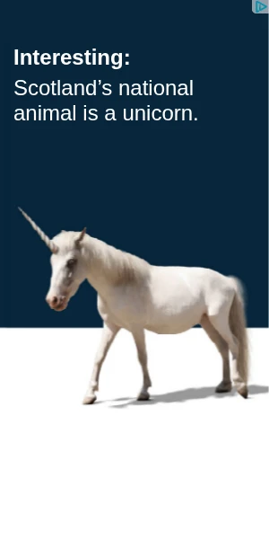 Creative Screenshot 3