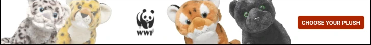 Creative Screenshot 1