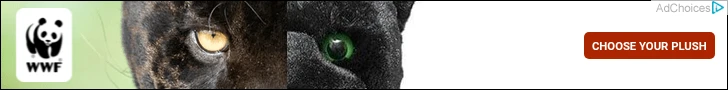 Creative Screenshot 3