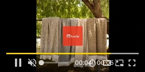 Creative Screenshot 3