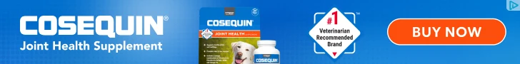 Creative Screenshot 1