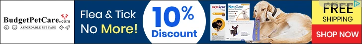 Creative Screenshot 1