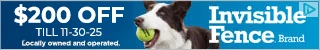 Creative Screenshot 1
