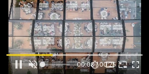 Creative Screenshot 2