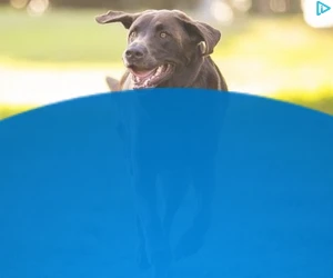 Creative Screenshot 3