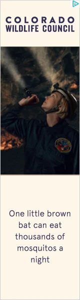 Creative Screenshot 1