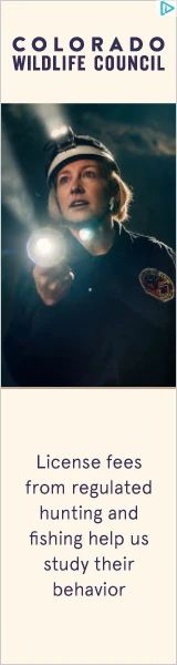 Creative Screenshot 2