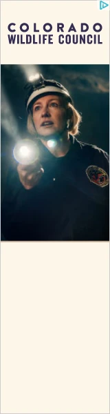 Creative Screenshot 3