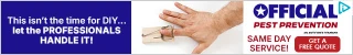 Creative Screenshot 1