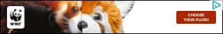 Creative Screenshot 3