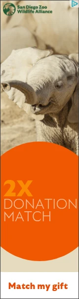 Creative Screenshot 3