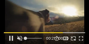 Creative Screenshot 3