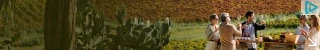 Creative Screenshot 2