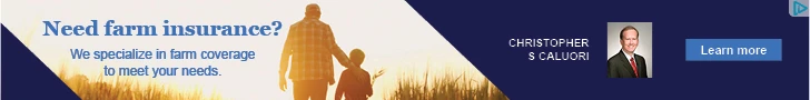 Creative Screenshot 1