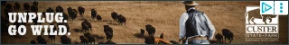 Creative Screenshot 1