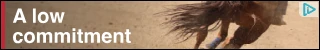Creative Screenshot 1
