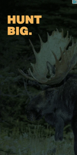 Creative Screenshot 3