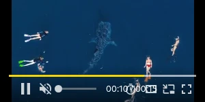 Creative Screenshot 3