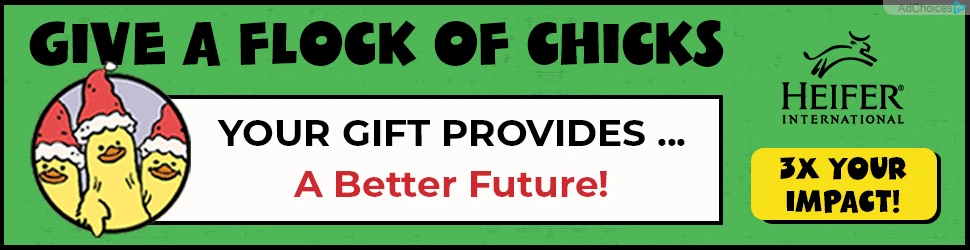 Creative Screenshot 2
