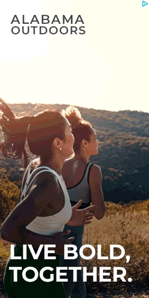 Creative Screenshot 1
