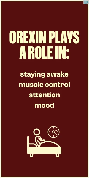 Creative Screenshot 3