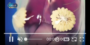 Creative Screenshot 1