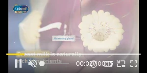 Creative Screenshot 2