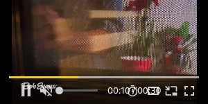 Creative Screenshot 2