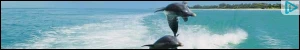 Creative Screenshot 3