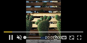 Creative Screenshot 1