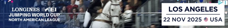 Creative Screenshot 3