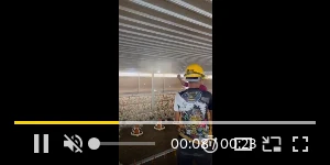 Creative Screenshot 2