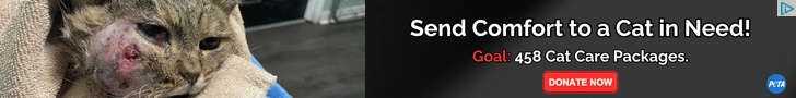 Creative Screenshot 1