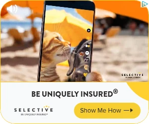 Creative Screenshot 3