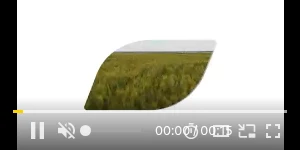 Creative Screenshot 1