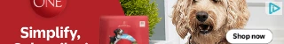 Creative Screenshot 2
