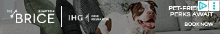 Creative Screenshot 2