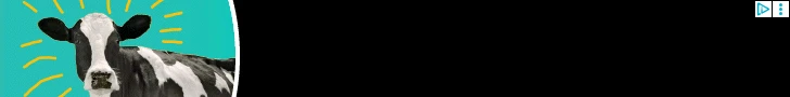 Creative Screenshot 1