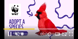 Creative Screenshot 2