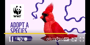 Creative Screenshot 3