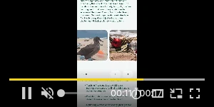 Creative Screenshot 3