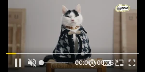 Creative Screenshot 1