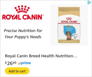 Creative Screenshot 1