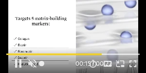 Creative Screenshot 3