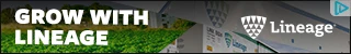 Creative Screenshot 1