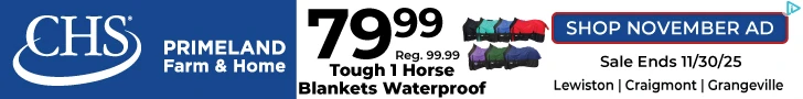 Creative Screenshot 1